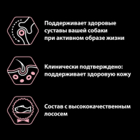 Сухой корм PRO PLAN для собак малых пород с чувствительной кожей, лосось/рис, 700 г