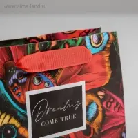 Пакет подарочный ламинированный, упаковка, &laquo;Dreams come true&raquo;, S 15 х 12 х 5.5 см