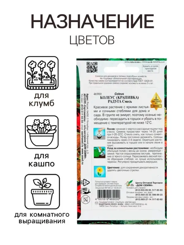 Семена комнатных цветов Колеус  Семена комнатных цветов Колеус "Блюма Радуга", 130 шт.