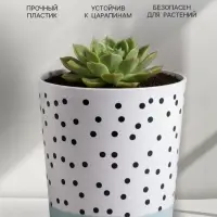 Кашпо для цветов &laquo;Чёрно - белый стиль&raquo;, 1.6 л, d=14 см, h=14 см, пластиковое