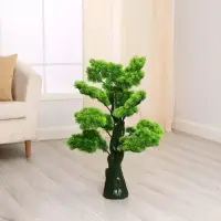 Дерево искусственное &laquo;Бонсай Кабудати&raquo;, h=70 см