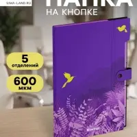 Папка А4 Flower Art, 5 отделений, 600 мкм, на кнопке, с рисунком