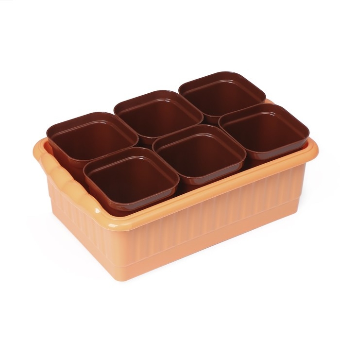 Набор для рассады: стаканы по 250 мл (6 шт.), контейнер 24 × 16 см, МИКС Набор для рассады: стаканы по 250 мл (6 шт.), контейнер 24 × 16 см, МИКС