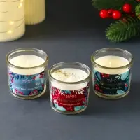 Набор: свечи ароматические новогодние Christmas Vibes, 3 шт., по 60 г