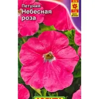 Семена цветов Петуния Небесная роза , Ц/П,0,1 г Семена цветов Петуния Небесная роза , Ц/П,0,1 г