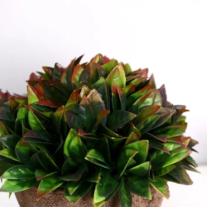 Искусственный цветок в горшке &laquo;Густые листики&raquo;, 13&times;11 см, МИКС