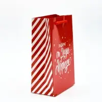 Пакет подарочный «Новогодний подарок», с носком для подарков, 18 × 23 × 11 см Пакет подарочный «Новогодний подарок», с носком для подарков, 18 × 23 × 11 см