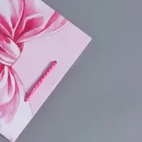 Пакет подарочный "Розовый бант" ламинированный 18 х 22,3 х 10 см