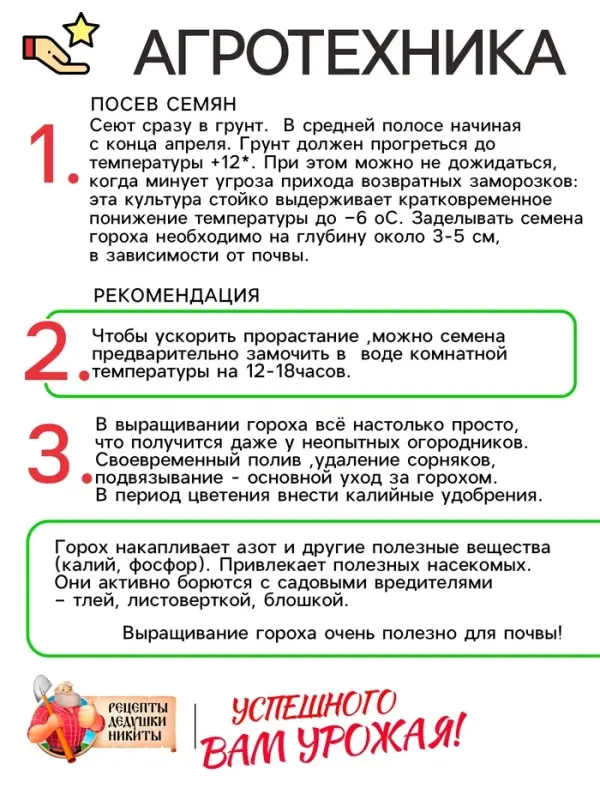 Семена Горох  Семена Горох "Амброзия", сахарный, 5 г