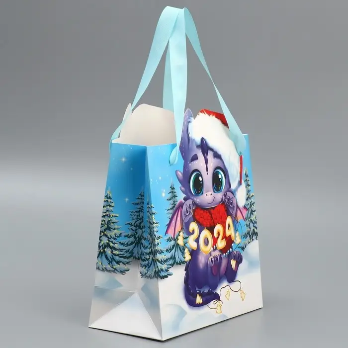 Пакет подарочный новогодний «Дракоша», 25 х 26.5 х 10 см Пакет подарочный новогодний «Дракоша», 25 х 26.5 х 10 см