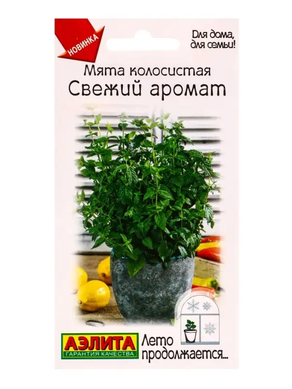 Семена Мята колосистая Свежий аромат Лето продолжается., Ц/П,0,05 г Семена Мята колосистая Свежий аромат Лето продолжается., Ц/П,0,05 г