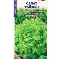 Семена Салат Тайфун /Сотка/ 0,5г/ среднесп. листов. зелен. h-20см d-27см/*1500