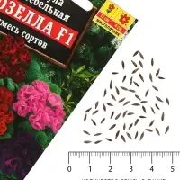 Семена цветов Примула "Розелла", смесь окрасок, F1, 7 шт
