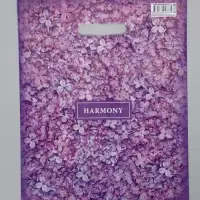 Пакет "Гармония", полиэтиленовый с вырубной ручкой, 31х40 см, 60 мкм