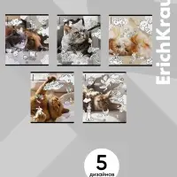 Тетрадь 48 листов в клетку ErichKrause Dream Cat, 60 г/м&sup2;, обложка мелованный картон, МИКС