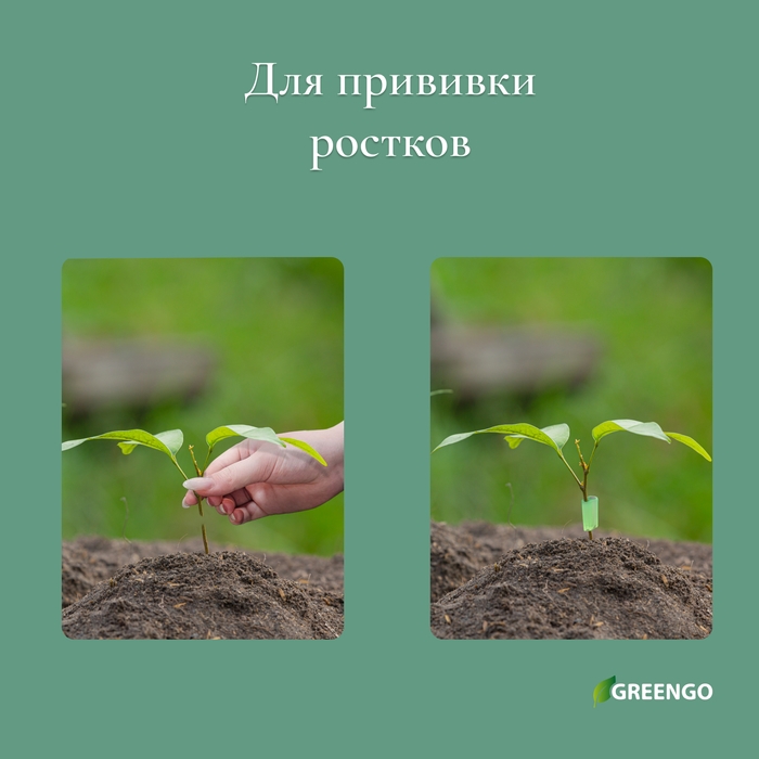 Клипса прививочная, набор 50 шт., Greengo
