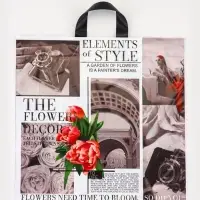 Пакет &laquo;Визуал&raquo;, полиэтиленовый с петлевой ручкой, 42&times;45 см, 45 мкм