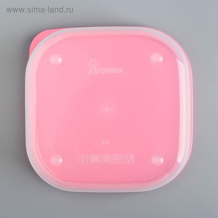 Ланч - бокс квадратный «Фламинго», 700 мл Ланч - бокс квадратный «Фламинго», 700 мл