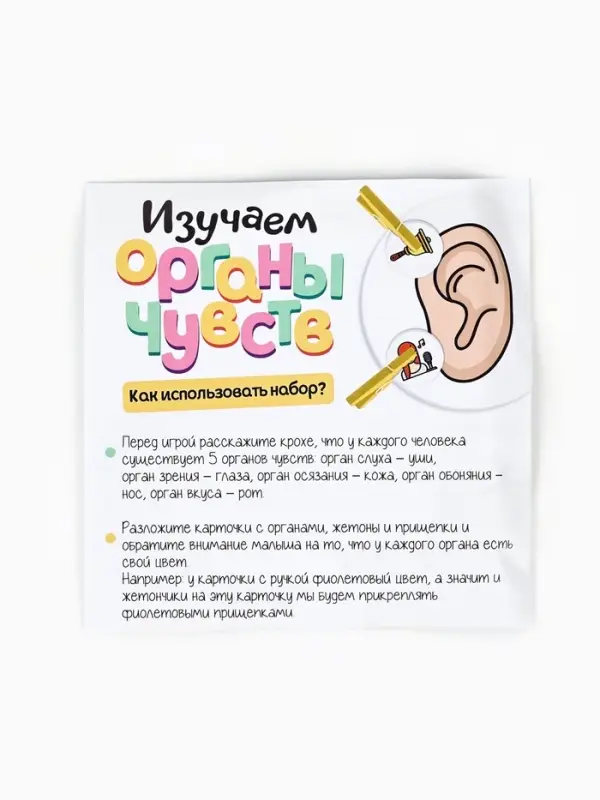 Развивающий набор "Органы чувств"