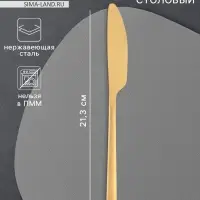 Нож столовый Magistro &laquo;Оску стандарт&raquo;, длина 21.3 см, нержавеющая сталь, золотистый