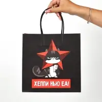 Пакеты подарочные новогодние &laquo;Новый год&raquo;, 22&times;22&times;11 см, 10 шт.
