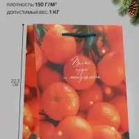 Пакет подарочный &laquo;Время чудес и мандаринок&raquo;, 18&times;10&times;22.3 см