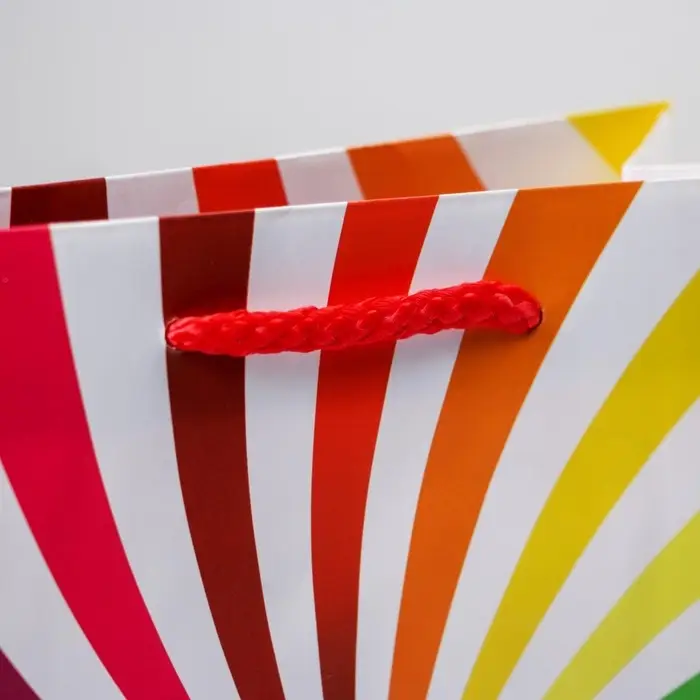 Пакет подарочный ламинированный, упаковка, «Поздравляю», MS 18 х 23 х 8 см