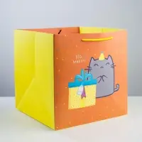 Пакет подарочный квадратный, упаковка, &laquo;Котик и тортик&raquo;, 30&times;30&times;30 см