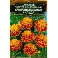 Семена цветов Бархатцы Очаровательная Хильда отклоненные Золотая серия, Ц/П,0,3 г Семена цветов Бархатцы Очаровательная Хильда отклоненные Золотая серия, Ц/П,0,3 г