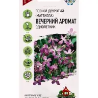 Семена цветов Левкой двурогий (Маттиола) Вечерний аромат 0,3 г Уд. с.