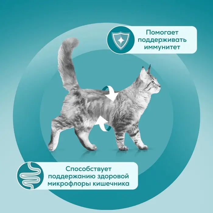 Влажный корм Purina One для котят, курица/морковь, 75 г