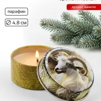 Свеча ароматическая, в железной банке &laquo;С Новым годом&raquo;, ваниль, d=4.8 см