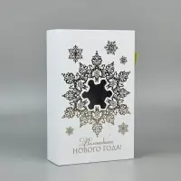 Коробка подарочная‒книга &laquo;Волшебного Нового года&raquo;, тиснение, 20&times;12.5&times;5 см