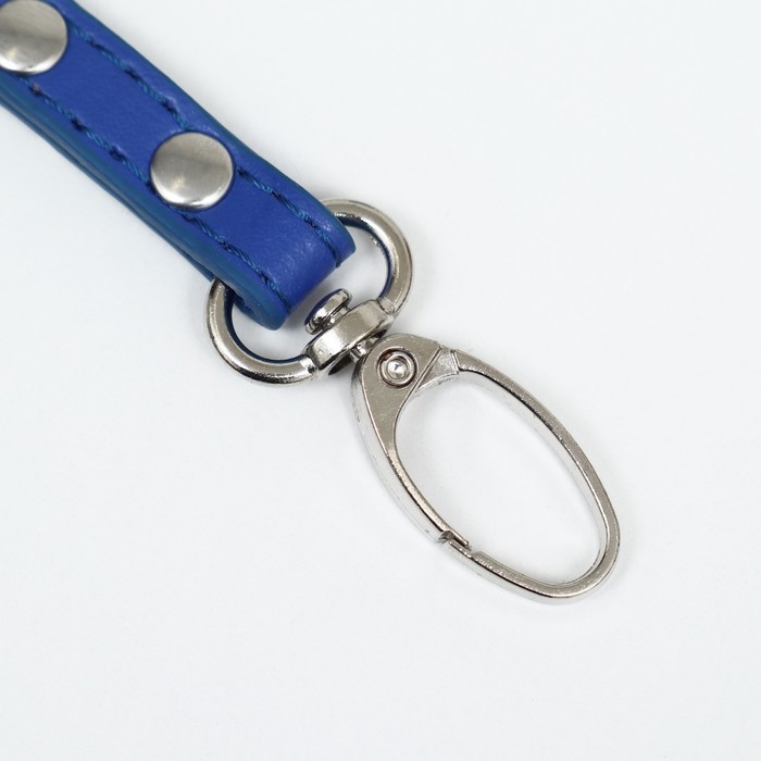 Поводок  Поводок "Основа" 120 х 1 см, синий