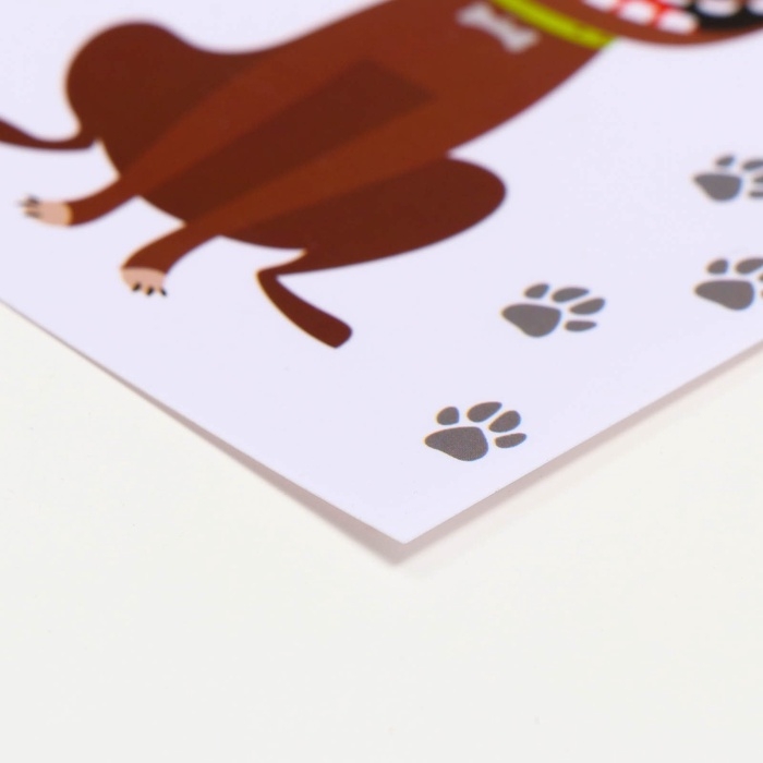 Коврик под миску  Коврик под миску "Пижон" 43 х 28 см "Весёлые собаки"