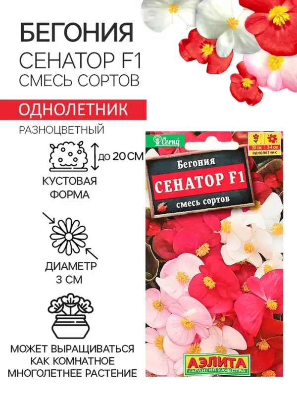 Семена  цветов Бегония вечноцветущая  Семена  цветов Бегония вечноцветущая "Сенатор F1", смесь, О, 10 шт