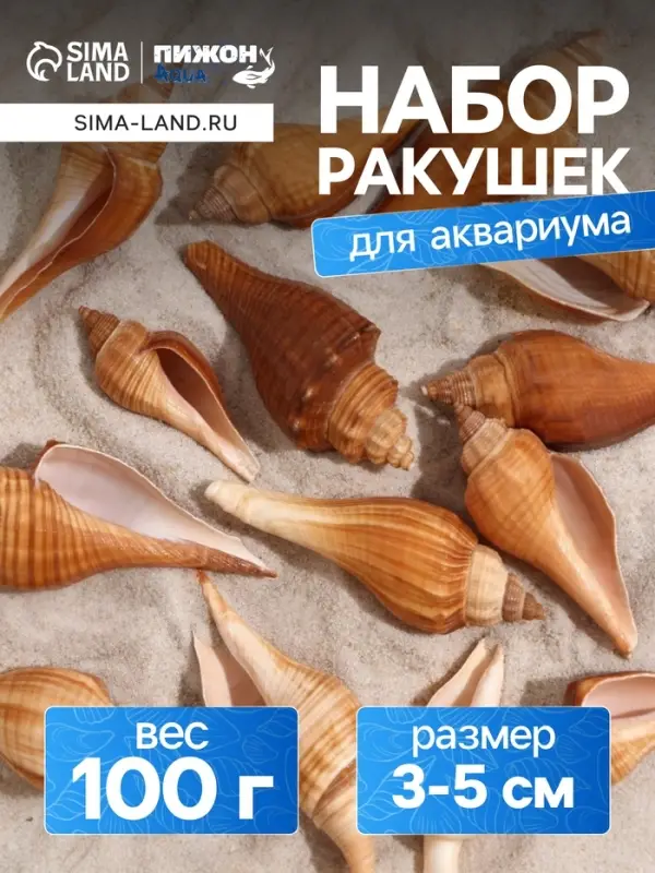 Набор ракушек, 3 - 5 см, 100 г