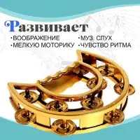 Игрушка музыкальная-бубен &laquo;Звонкий блеск&raquo;, с металлическими бубенцами, цвета МИКС