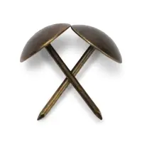 Гвозди ТУНДРА, декоративные, обивочные, 10&times;18.5 мм, бронза, 100 шт.