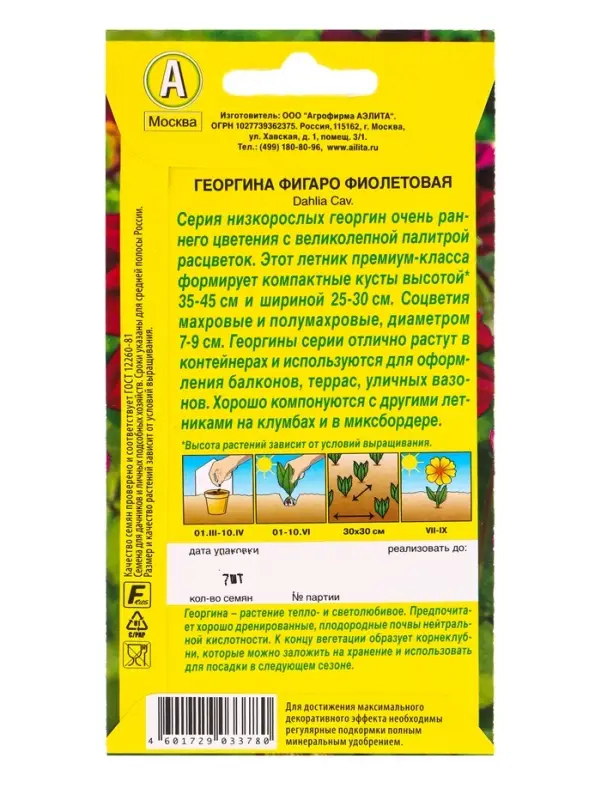 Семена цветов Георгина Фигаро махровая фиолетовая , Ц/П,7 шт. Семена цветов Георгина Фигаро махровая фиолетовая , Ц/П,7 шт.