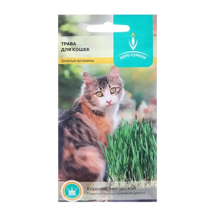 Семена Трава для кошек, 10 г Семена Трава для кошек, 10 г