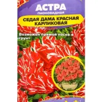 Семена цветов Астра &laquo;Седая Дама&raquo;, красная, карликовая, 0.05 г, &laquo;Семена Алтая&raquo;