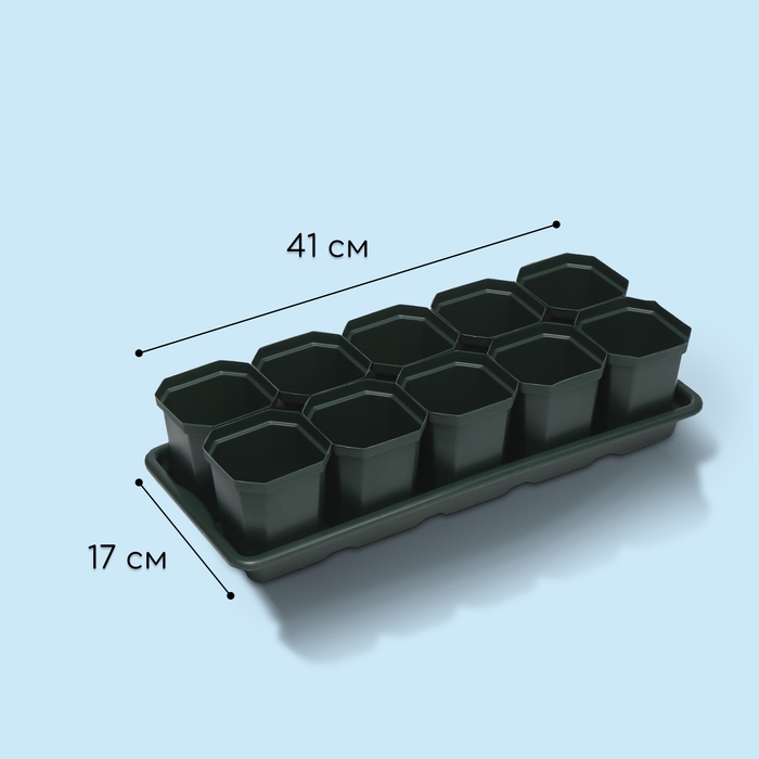Набор для рассады: стаканы по 300 мл (10 шт.), поддон 41 × 17 см, цвет МИКС Набор для рассады: стаканы по 300 мл (10 шт.), поддон 41 × 17 см, цвет МИКС