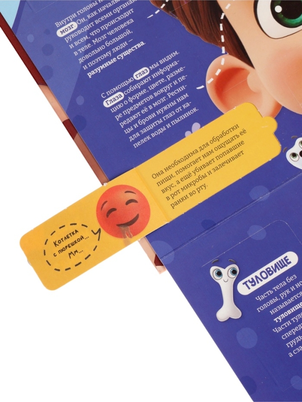 Книга - раскладушка детская «Как устроено моё тело», 40 окошек Книга - раскладушка детская «Как устроено моё тело», 40 окошек