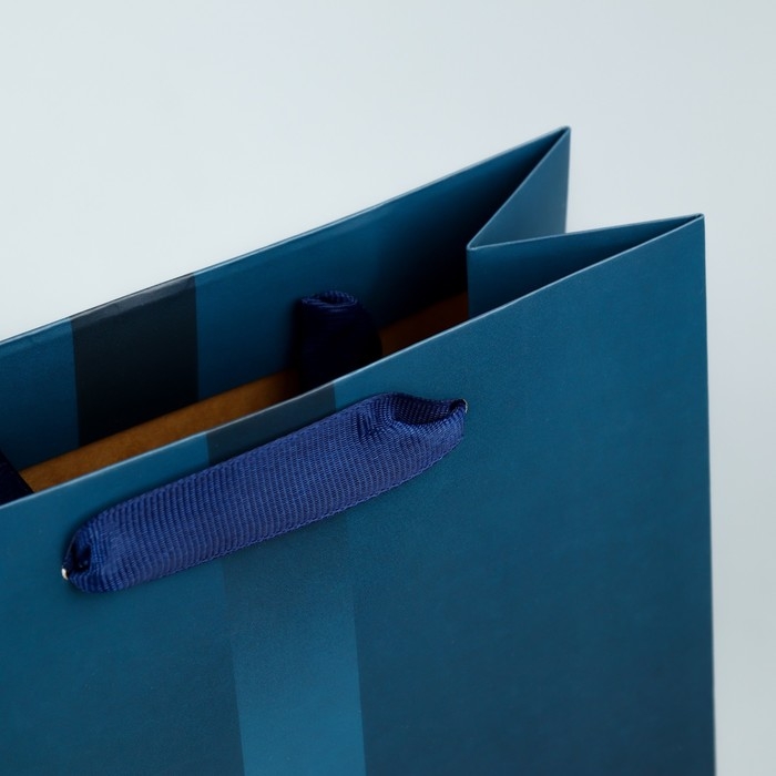 Пакет подарочный под две бутылки, упаковка, «Present», 35 х 20 х 9 см Пакет подарочный под две бутылки, упаковка, «Present», 35 х 20 х 9 см