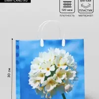 Пакет &laquo;Цветы небесные&raquo;, мягкий пластик, 30&times;30 см, 120 мкм