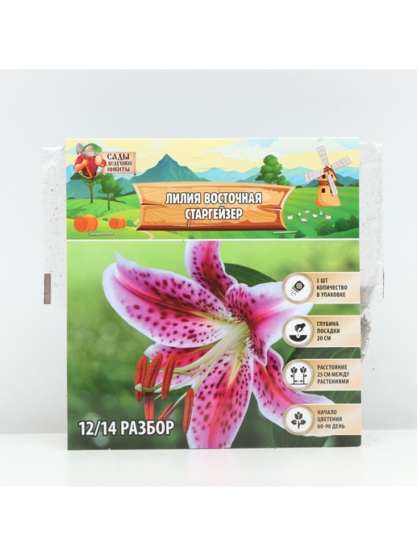 Лилия Восточная «Старгейзер», луковица в пакете с перфорацией, р-р 12/14, 3 шт. Лилия Восточная «Старгейзер», луковица в пакете с перфорацией, р-р 12/14, 3 шт.