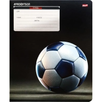 Тетрадь КЛЕТКА 12л. ФУТБОЛЬНЫЕ МЯЧИ - 20 цвет. мелов.обл.ассорти 12-0924)