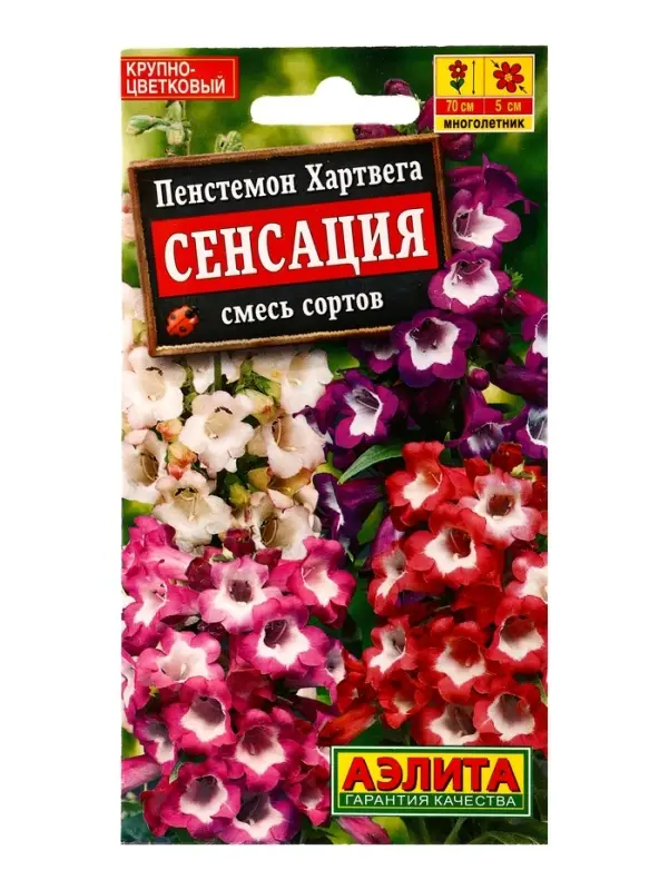 Семена цветов Пенстемон Сенсация, смесь сортов , Ц/П,0,1 г
