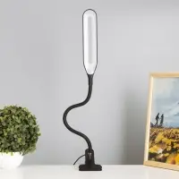 Лампа настольная RISALUX &laquo;Офисный чёрный&raquo;, светодиодная, на прищепке, от USB, 11&times;7.5&times;60.5 см